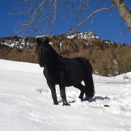 La Guiette Bed & Breakfast Casteldelfino