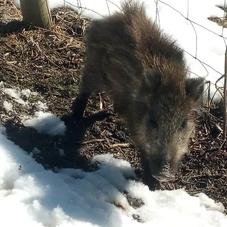 La Guiette Bed & Breakfast 3*