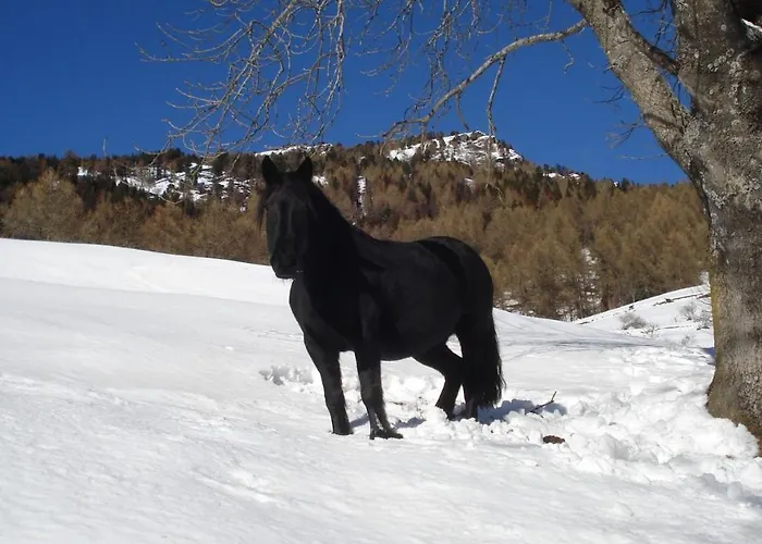 La Guiette Couette-café Châteaudauphin