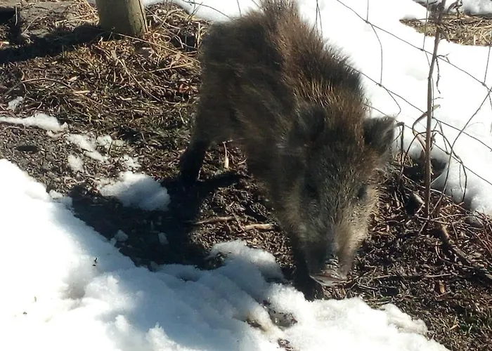 La Guiette Couette-café 3*