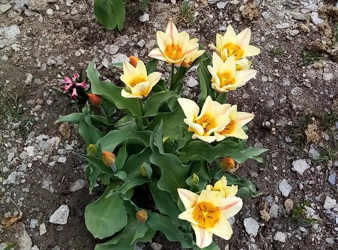 La Guiette Couette-café 3*