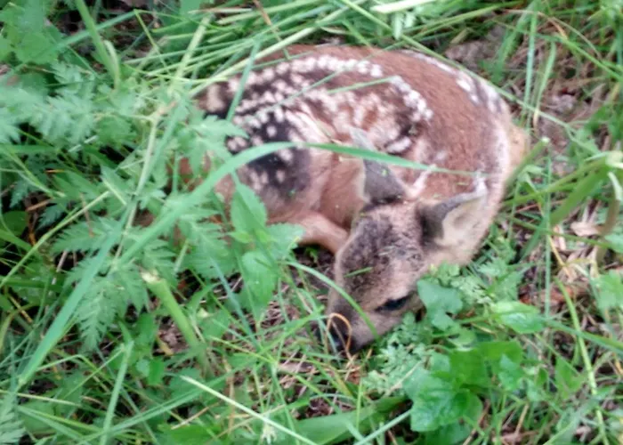 La Guiette Couette-café 3*